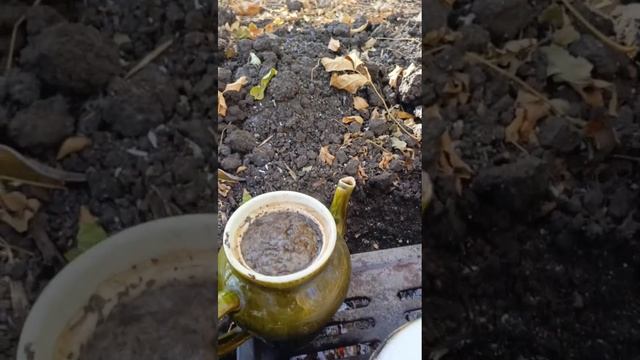 Завтрак с дымком СВО