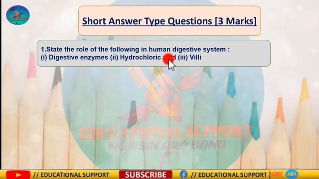 CBSE CLASS10 SCIENCE BIOLOGY  LIFE PROCESS  BOARD EXAM SPECIAL