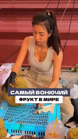 А вы пробовали Дуриан?🍈