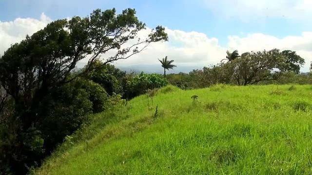 Катаракта и катарактальная хирургия смотреть онлайн