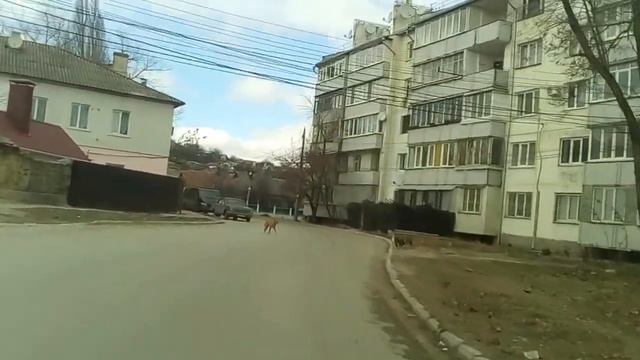 #Крым #Симферополь Обзор  ул. Западная