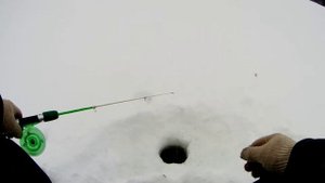 Зимняя рыбалка|окунь|налим на жерлицы.