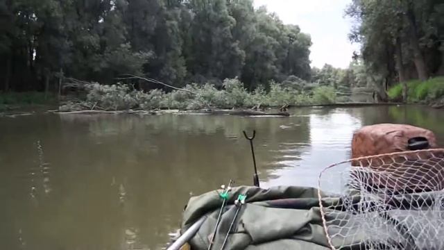 Поймать веселого жирного карася 2016 смотреть онлайн