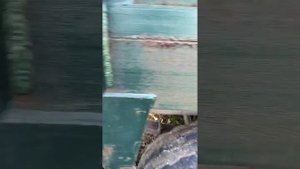 Кормораздатчик тракторный КТУ 10 экспресс-обзор от Фомина Аркадия