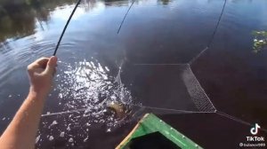 Рыбалка на паук