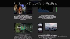 Adobe добавили ProRes в Premiere Pro на Windows!