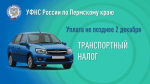 Срок уплаты имущественных налогов.