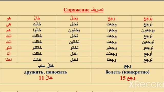 Урок 7 краткого курса разговорного арабского языка смотреть онлайн