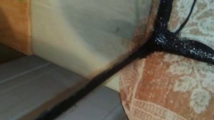 Обзор аквариума 120 литров из стекла 4 мм,склеенного  своими руками