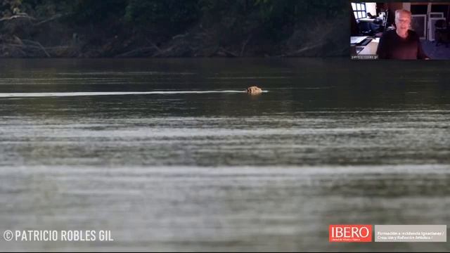 Procesos de la Memoria. Charlando con Patricio Robles Gil. 40 años en búsqueda de la Onza Pintada смотреть онлайн