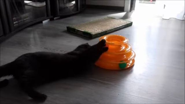 Кошкина Игрушка смотреть онлайн