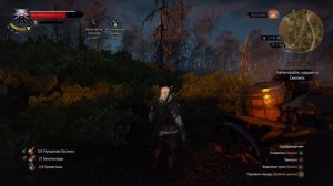 Ведьмак 3: Дикая Охота | Прохождение cерия #39 | Прорицатель правду скажет