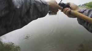 베스 낚시, bass fishing, ловля басса