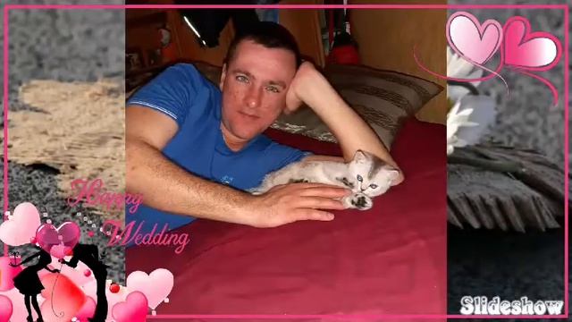 17 сентября 2019 г. смотреть онлайн