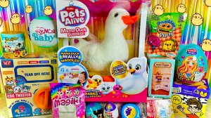 MIX Сюрпризов! Pets Alive Mama Duck Surprise, Zuru My Mini Baby, Magiki,  Lol Surprise, Lost Kitties