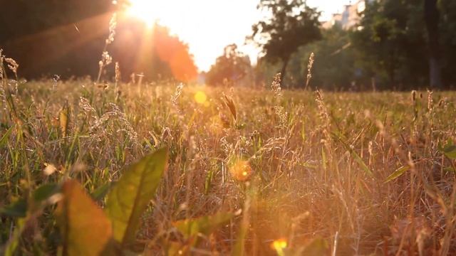 Рассвет Canon eos 5d mark II
