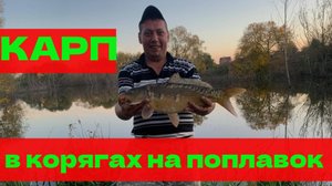 Карп в октябре , на поплавок , в корягах.