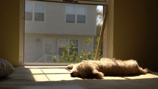 Sandy Chilling смотреть онлайн