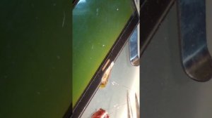 Тестер RCL-T4 ремонт Дисплея