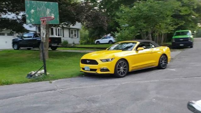 Air Cooled VolksWagen Beetle & 2 Pontiac GTO (s) смотреть онлайн