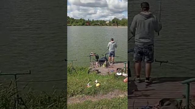 Дорога едет! смотреть онлайн