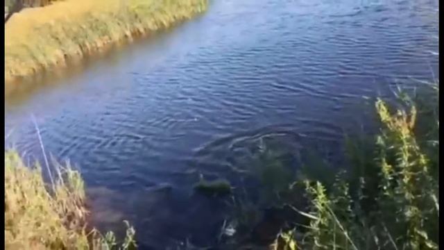 Рыбалка для всей семьи смотреть онлайн