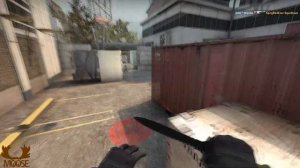 CS:GO Duo Que Cache W/Moose