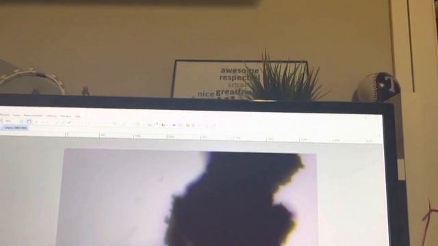 Pencil led under microscope Ep.3