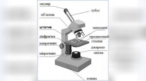 "Мікроскоп.Будова сучасного світового мікроскопа"