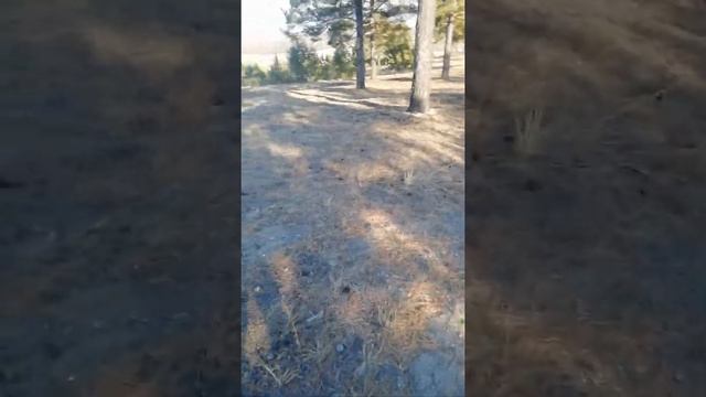 СПУСТИЛИ ШИНУ С ГОРЫ!!! смотреть онлайн