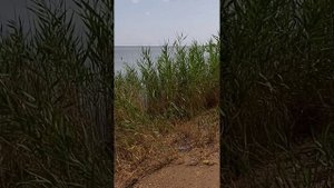 Морская рыбалка на пеленгаса....