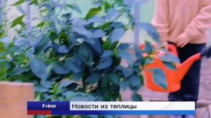 Новости экологии с Александром Бумагиным