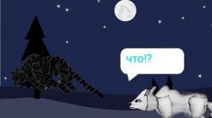 волк и тигр