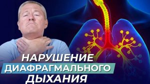 ДИАФРАГМАЛЬНОЕ ДЫХАНИЕ: причины нарушений, последствия, ВОССТАНОВЛЕНИЕ