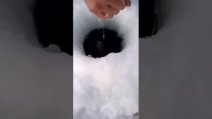 зимняя рыбалка на жерлицы