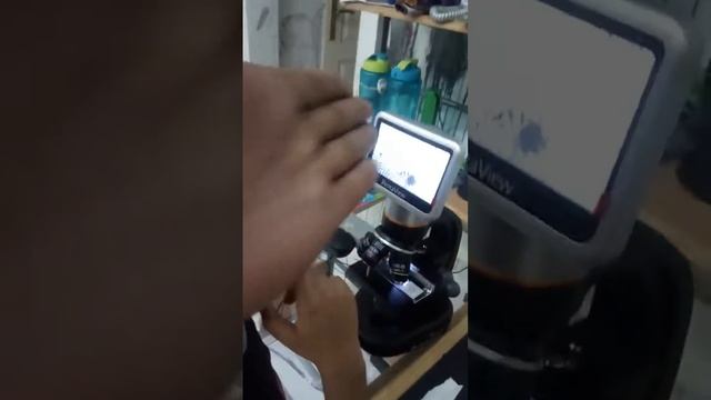 AVi Shashwat's MIcroscoping a FLY's Wings...Pentaview MIcroscope смотреть онлайн