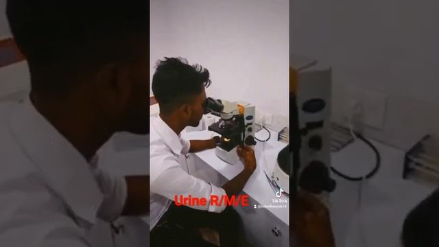 #urinetest #microscopic #pathologylab #microbiology