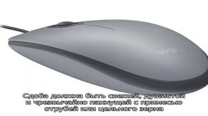 Выбор лучшей приманки для мышей