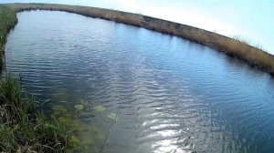 ловля щуки на джиг