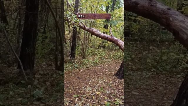 Как познать ценность жизни  #shortsfeed #shorts #ценностьжизни