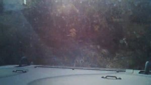 M-998 HMMWV Test Drive up incline.