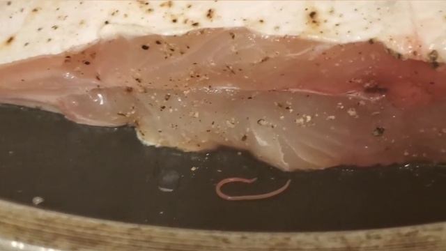WARNING! Worm 🪱 parasites in Whole Food fish! Паразиты в рыбе в американском магазине! смотреть онлайн