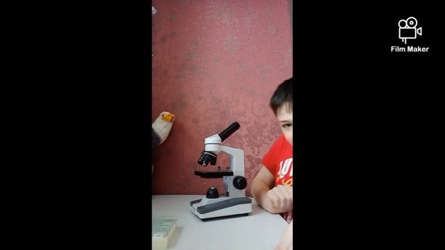 я смотрю разные вещи под микроскопом смотреть онлайн