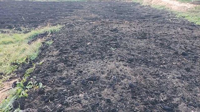 Увеличиваем плодородный слой.