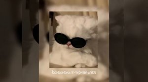 ||Комсомольск-чёрные очки||