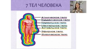 7 тел человека