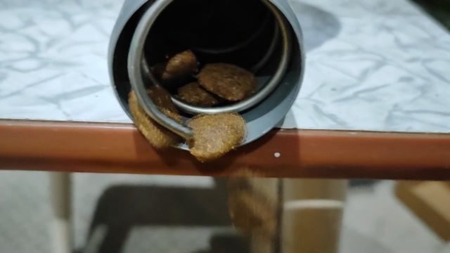 Автоматическая кормушка для собак своими руками смотреть онлайн