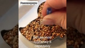Съедобная кормушка для птиц легко и просто! 🐦