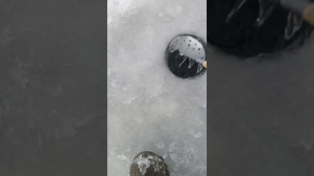 поездка на форель с другом Димоном смотреть онлайн