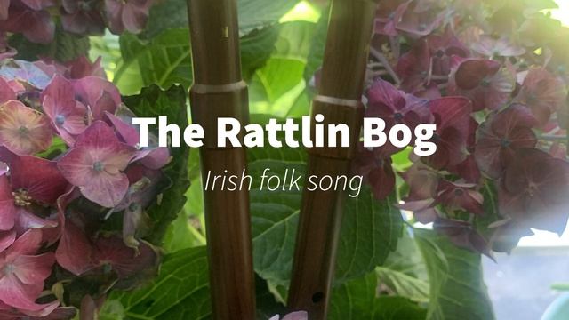 The Rattlin’ Bog, traditional Irish folk song. смотреть онлайн